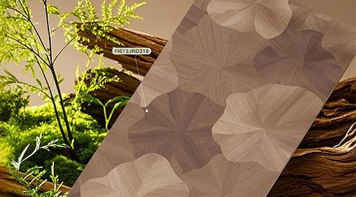 絲絨木語•暖嶼層秋 | 秋日的溫柔，每一寸都湧動成詩